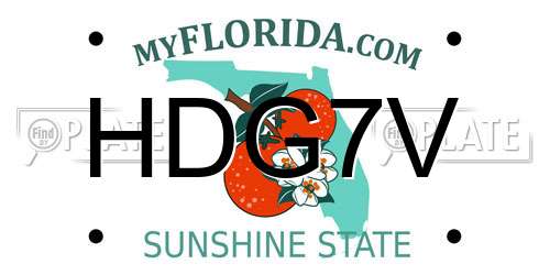 HDG7V Florida License Plate