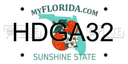 HDGA32 Florida License Plate