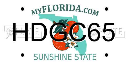 HDGC65 Florida License Plate