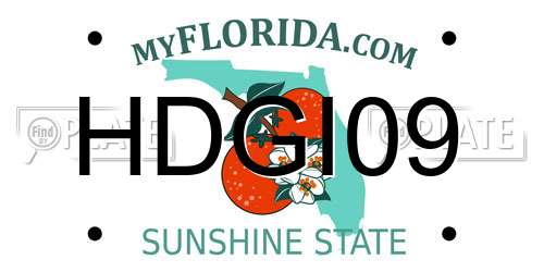 HDGI09 Florida License Plate