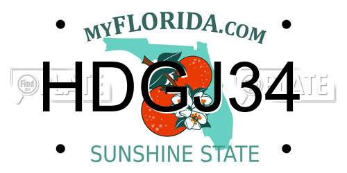 HDGJ34 Florida License Plate