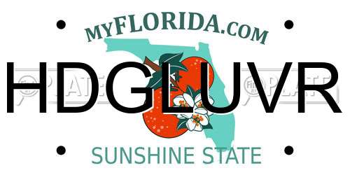 HDGLUVR Florida License Plate