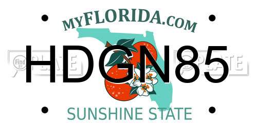 HDGN85 Florida License Plate
