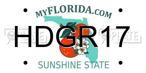 HDGR17 Florida License Plate