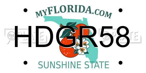 HDGR58 Florida License Plate