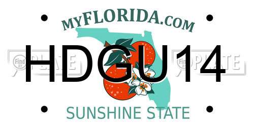 HDGU14 Florida License Plate