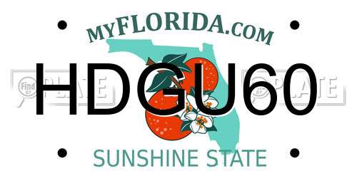 HDGU60 Florida License Plate