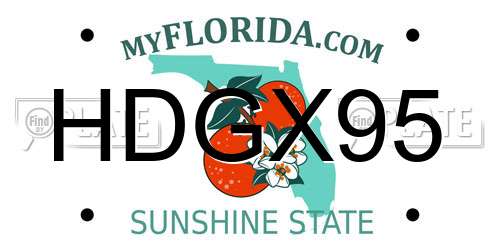 HDGX95 Florida License Plate