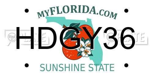 HDGY36 Florida License Plate