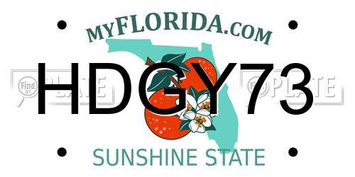 HDGY73 Florida License Plate