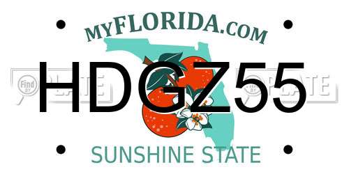HDGZ55 Florida License Plate