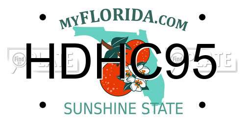HDHC95 Florida License Plate