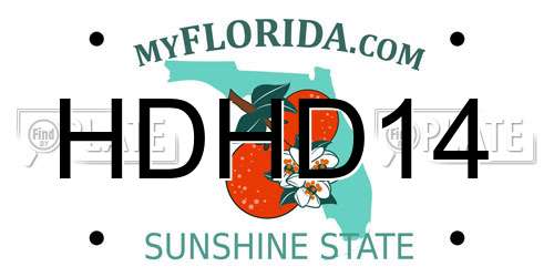HDHD14 Florida License Plate