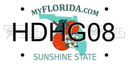 HDHG08 Florida License Plate