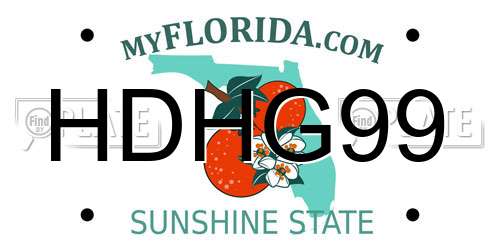 HDHG99 Florida License Plate