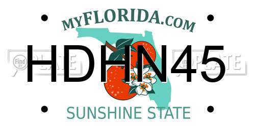 HDHN45 Florida License Plate