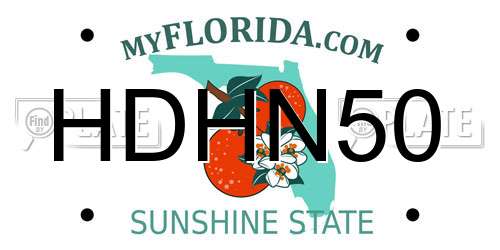 HDHN50 Florida License Plate
