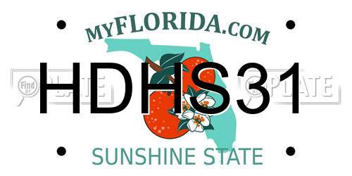 HDHS31 Florida License Plate