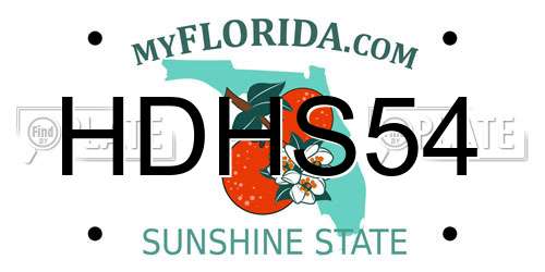 HDHS54 Florida License Plate