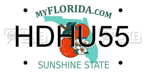 HDHU55 Florida License Plate