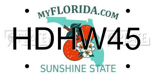 HDHW45 Florida License Plate