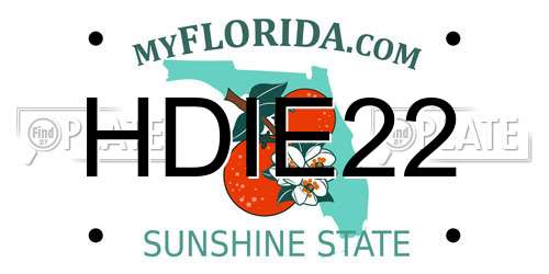 HDIE22 Florida License Plate
