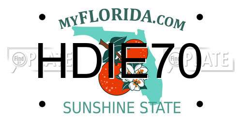 HDIE70 Florida License Plate