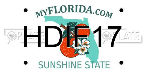 HDIF17 Florida License Plate