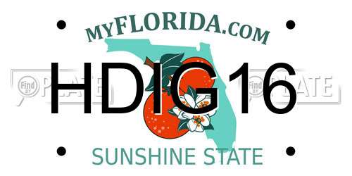 HDIG16 Florida License Plate