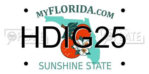 HDIG25 Florida License Plate