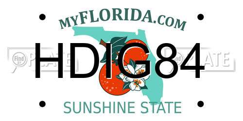HDIG84 Florida License Plate