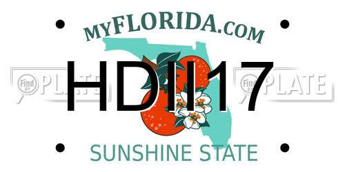 HDII17 Florida License Plate