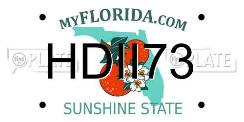 HDII73 Florida License Plate
