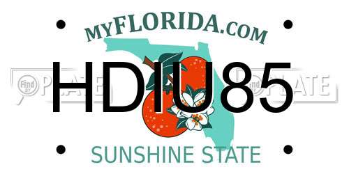 HDIU85 Florida License Plate