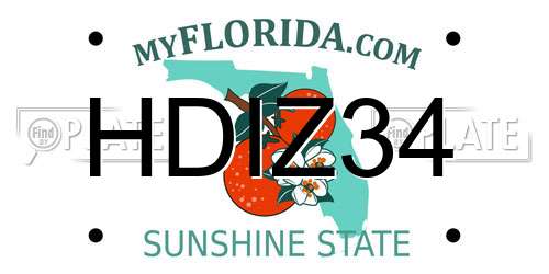 HDIZ34 Florida License Plate