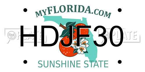 HDJF30 Florida License Plate