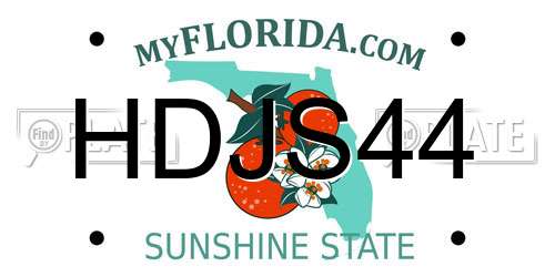 HDJS44 Florida License Plate