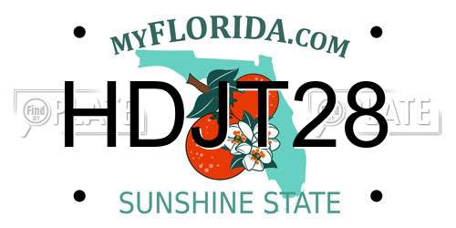HDJT28 Florida License Plate