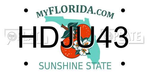 HDJU43 Florida License Plate