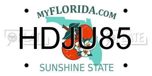 HDJU85 Florida License Plate