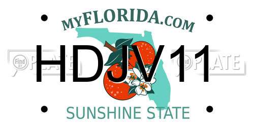 HDJV11 Florida License Plate