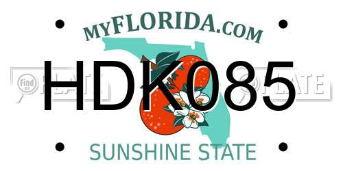 HDK085 Florida License Plate