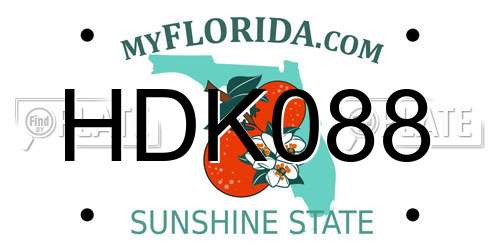 HDK088 Florida License Plate
