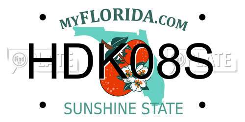HDK08S Florida License Plate