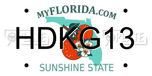HDKG13 Florida License Plate