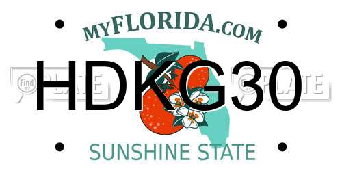 HDKG30 Florida License Plate