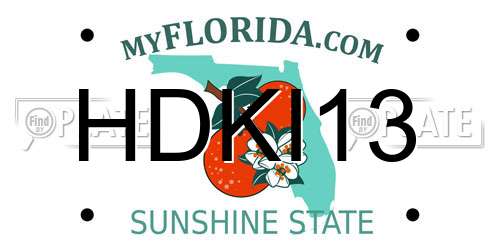 HDKI13 Florida License Plate