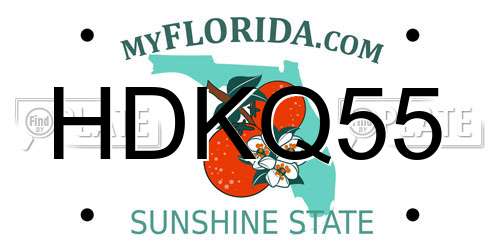 HDKQ55 Florida License Plate