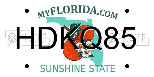 HDKQ85 Florida License Plate