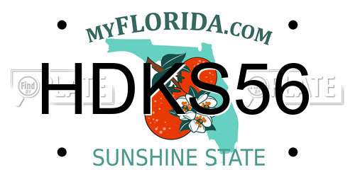 HDKS56 Florida License Plate